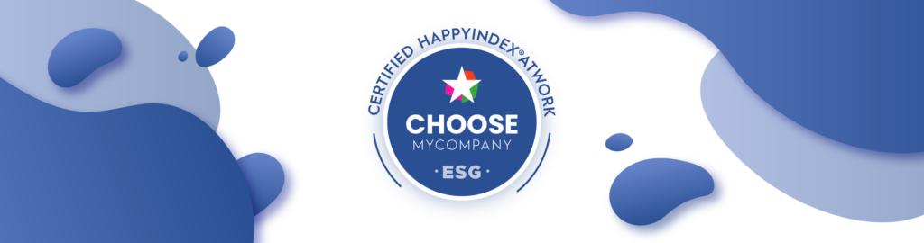 Choose my company - stats Holy-Dis 2025