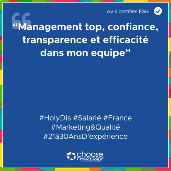 Le Management Chez Holyd-Dis